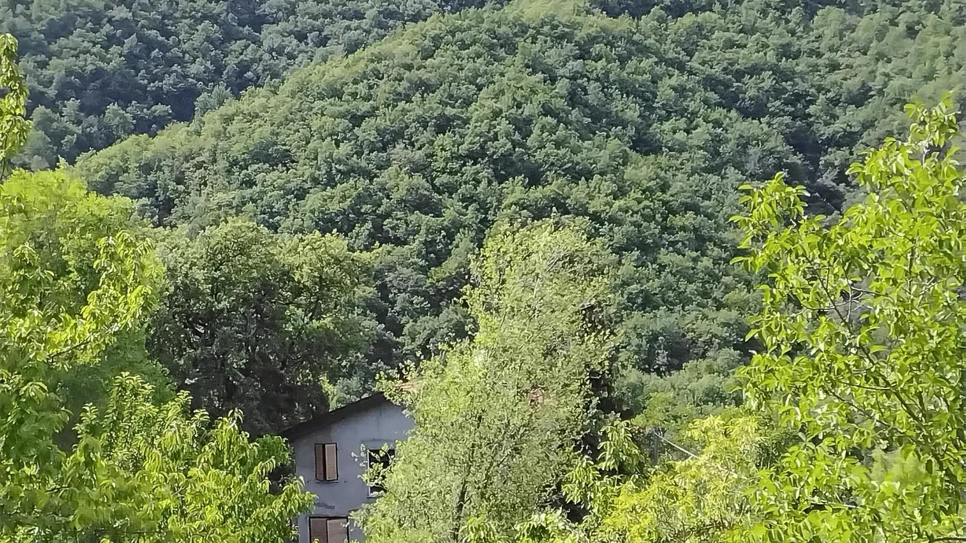 Amazing Apartment In Marzabotto 0*,